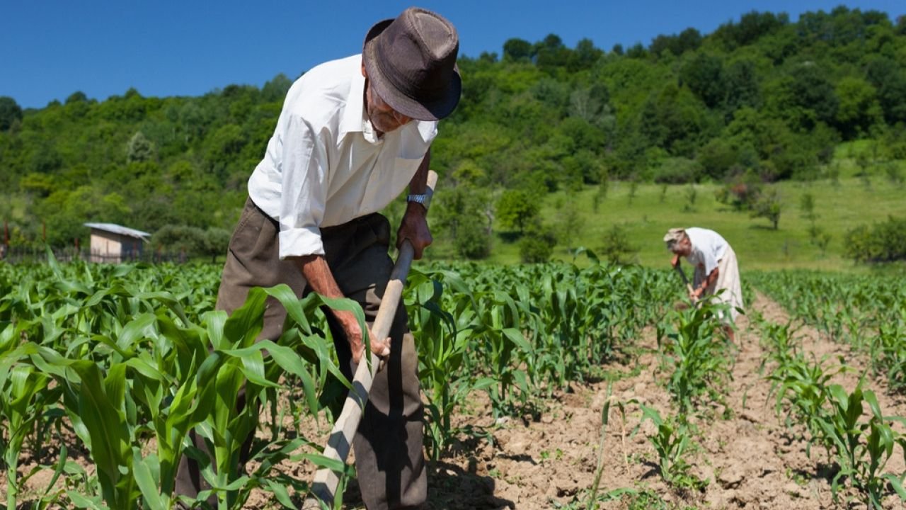 Capacitação Contínua no Meio Rural