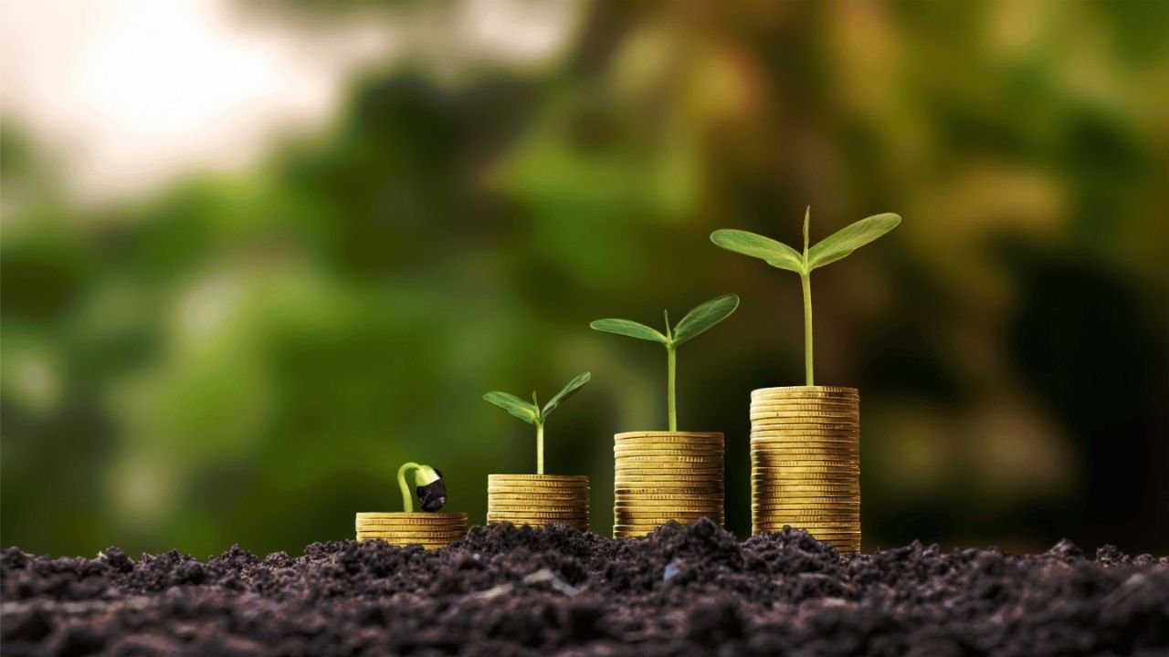 Como investir no agronegócio com baixo capital em 7 maneiras!