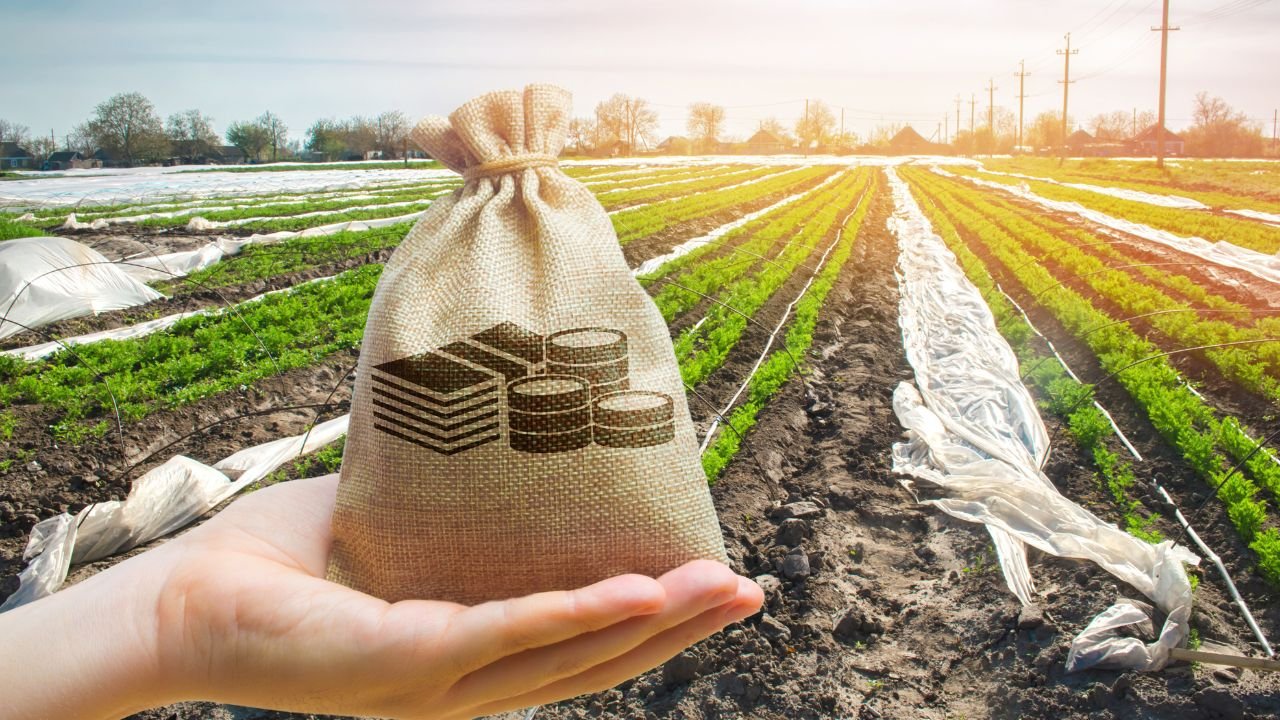 Informação Diária: Aprendizado e Diversão em Finanças, Agro e Benefícios