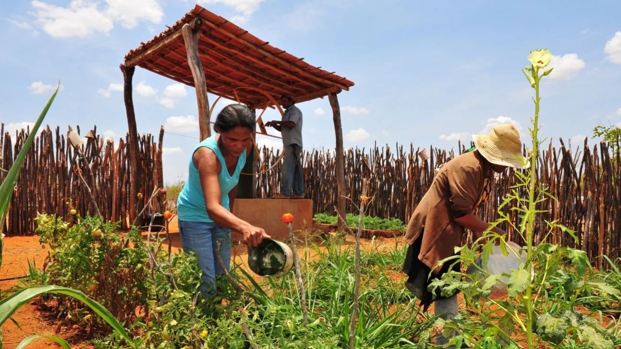 Descubra o Mundo das Finanças, Agro e Benefícios com a Gente!
