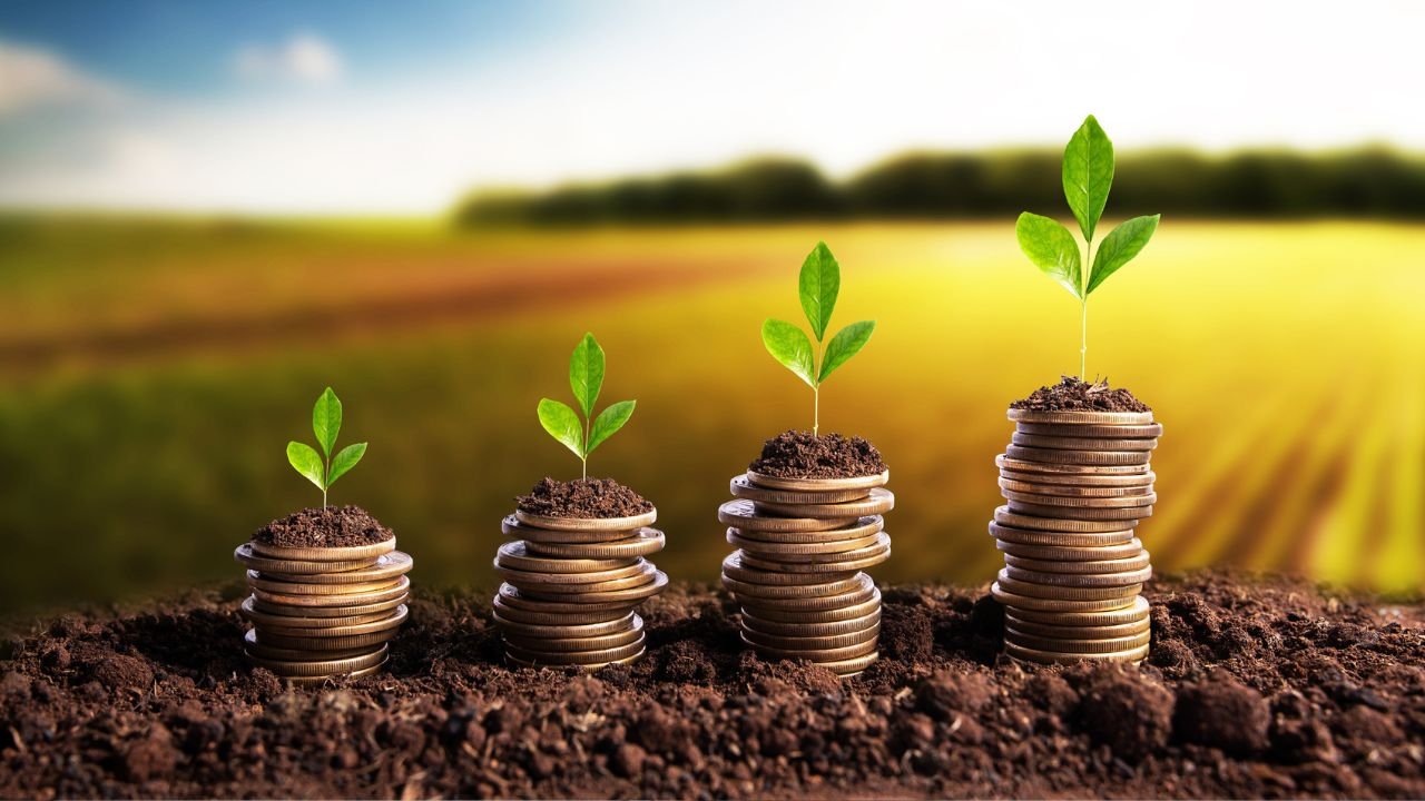 Explore Conhecimentos sobre Finanças, Agricultura e Benefícios com Alegria!