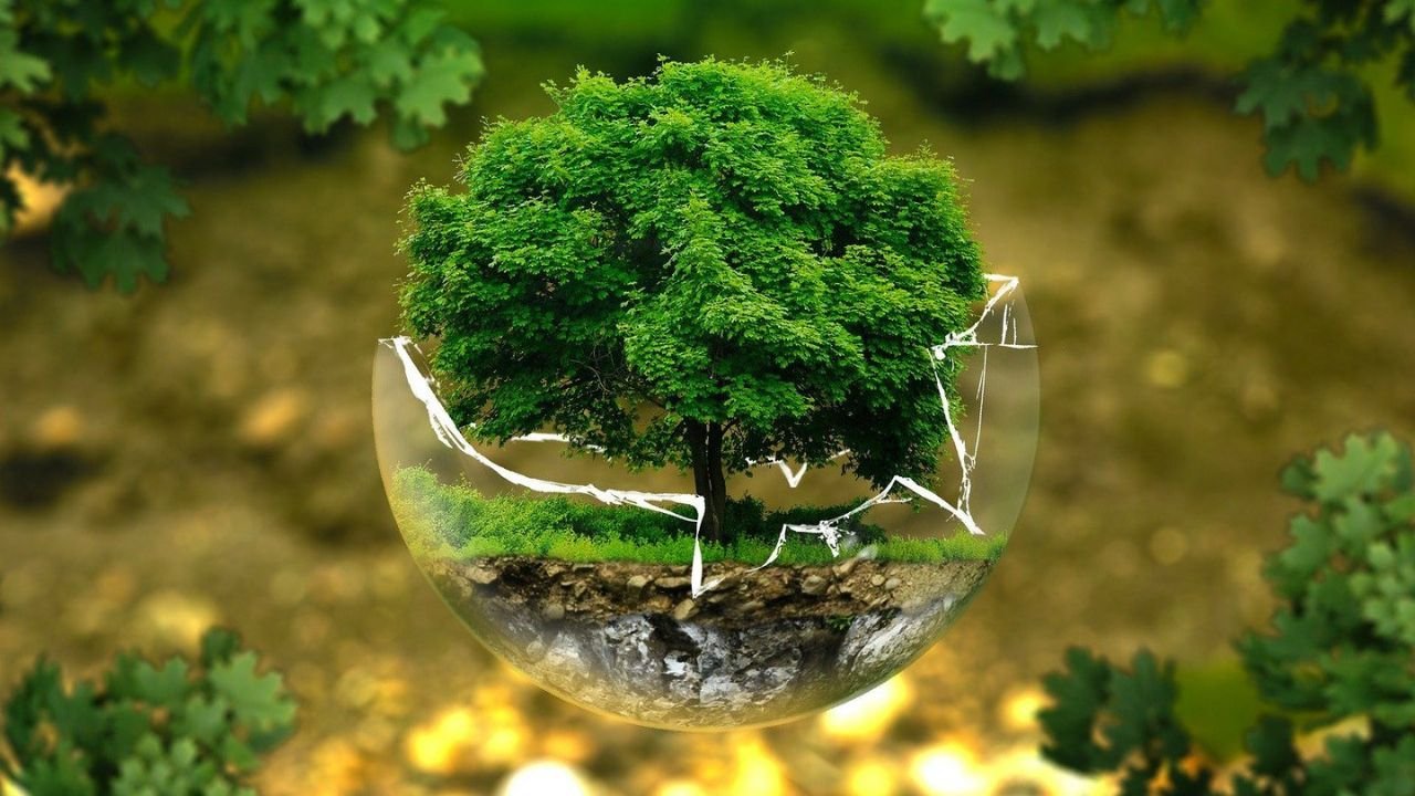 Turismo Sustentável em Áreas Preservadas