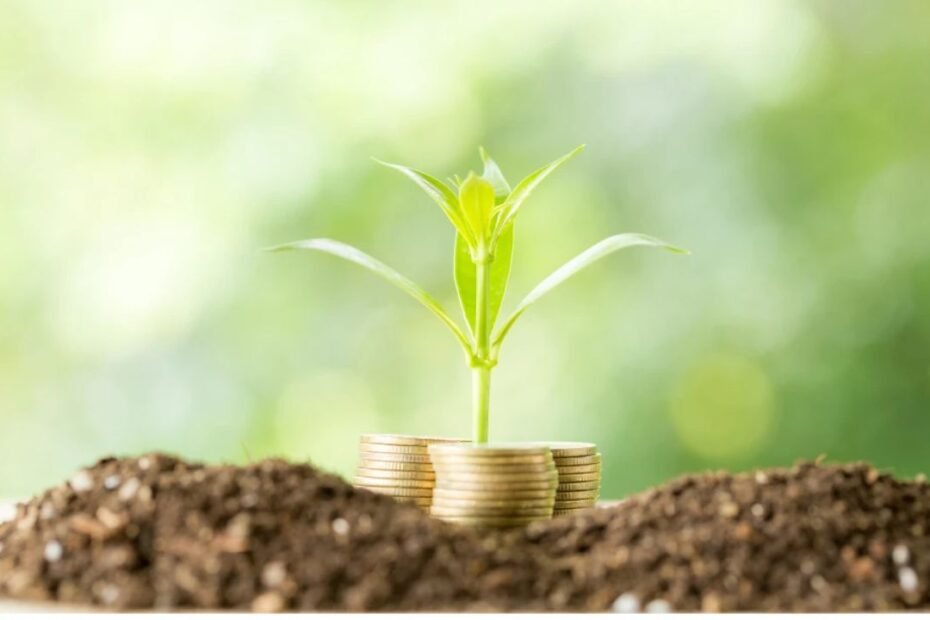 Gestão Financeira Rural